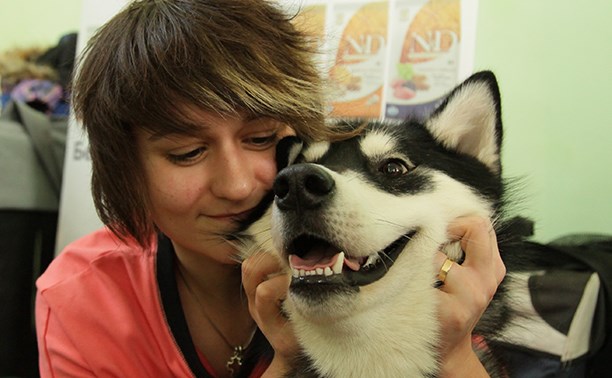 Тула приняла Всероссийскую выставку собак