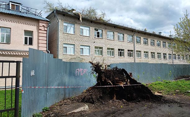 На крышу школы-интерната в Туле упало дерево: фоторепортаж с места событий