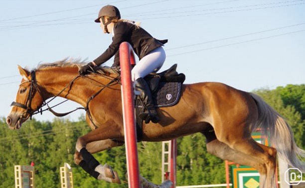 Спорт: Фестиваль конного спорта