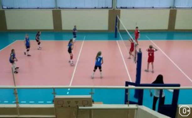 Спорт: Первенство Тульской области по волейболу