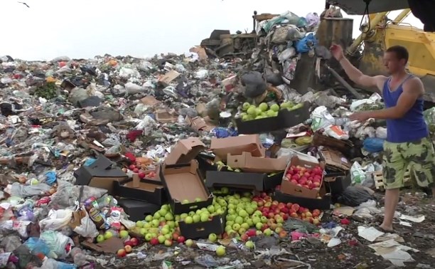 На тульской свалке «похоронили» 600 кг польских яблок: видео
