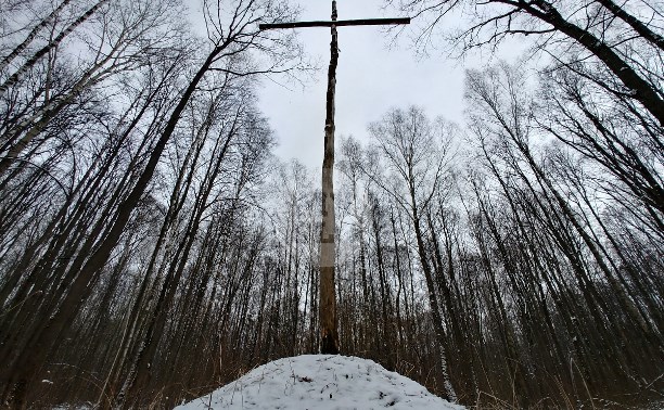 В тульском лесу нашли загадочную поляну с крестами и зеркалами