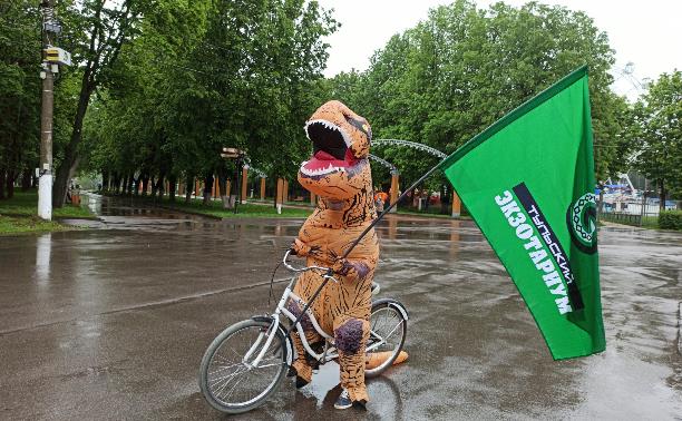 В Туле по Центральному парку разъезжал тираннозавр на велосипеде: видео