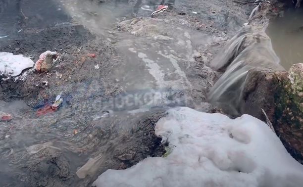 Возле парка в Донском прорвало канализацию: прокуратура проводит проверку