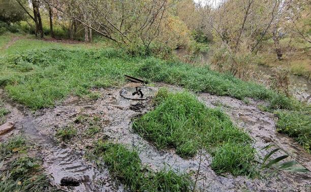 Не решенная годами проблема: в Туле на Зеленстрое вновь рекой течет канализация