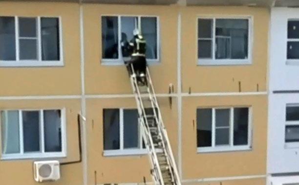 В Донском пожарные спасли застрявшего в приоткрытом окне кота: видео