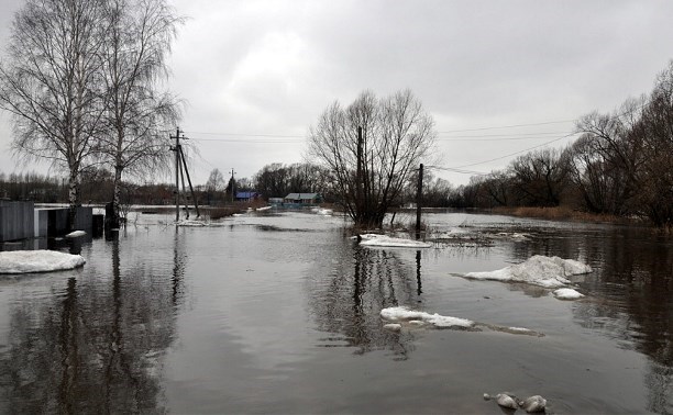 В Туле паводок может подтопить 326 домов и 4 моста
