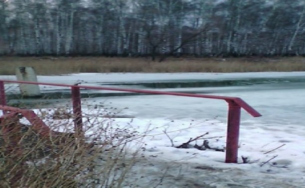 В парковом пруду Киреевска утонул 10-летний мальчик