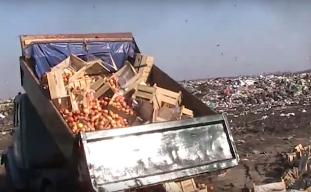 На мусорном полигоне в Туле уничтожили 22 тонны украинских яблок