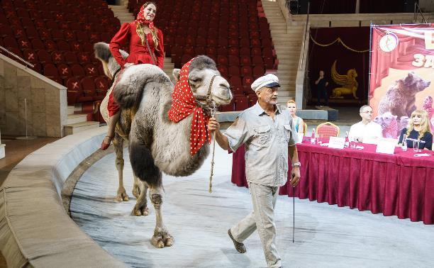 Обезьяны на пони, караван верблюдов и клоуны «Без носков»: в Туле покажут программу «Цирк зажигает огни»