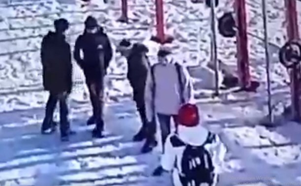 На Пролетарской набережной в Туле подростки украли гирю: видео