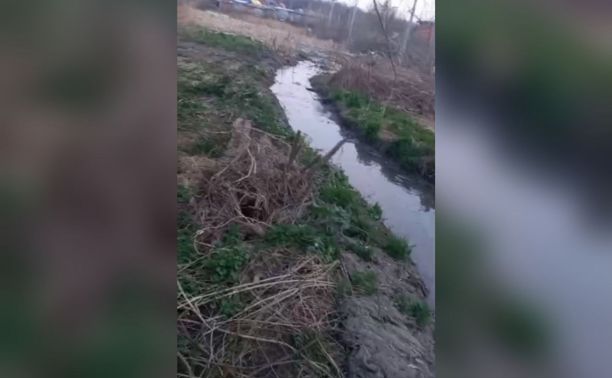 Жители Богородицка более 35 лет страдают от сброса канализации под их дома